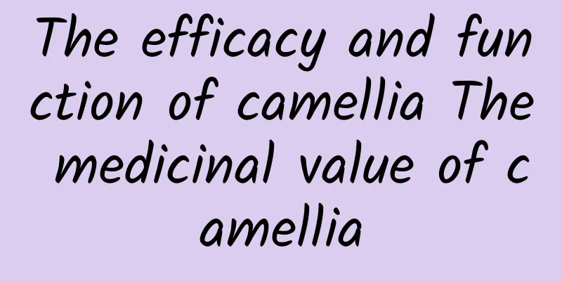 The efficacy and function of camellia The medicinal value of camellia