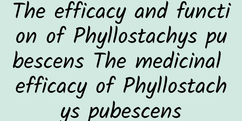 The efficacy and function of Phyllostachys pubescens The medicinal efficacy of Phyllostachys pubescens