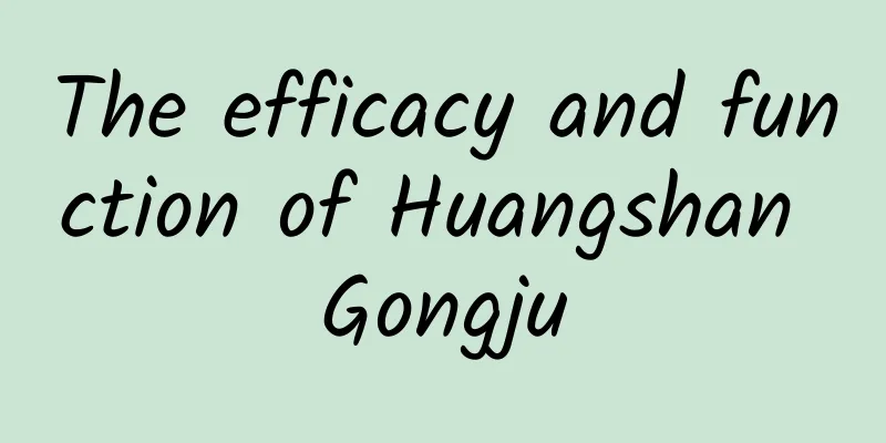 The efficacy and function of Huangshan Gongju