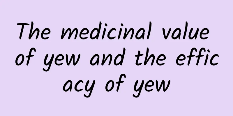 The medicinal value of yew and the efficacy of yew