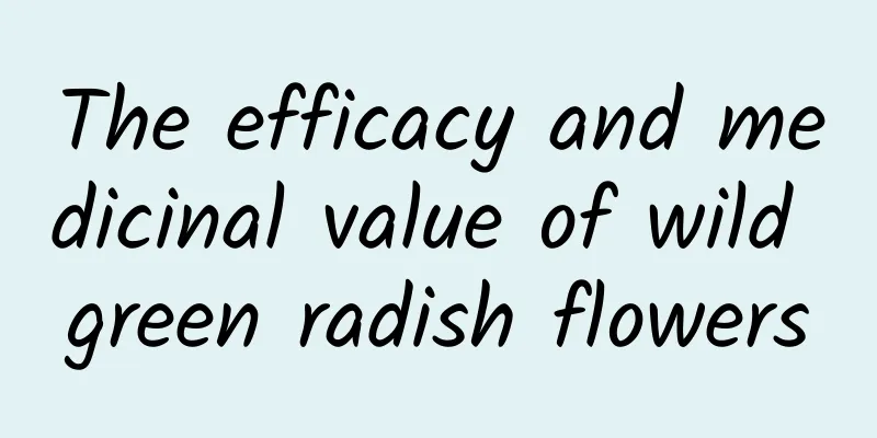 The efficacy and medicinal value of wild green radish flowers