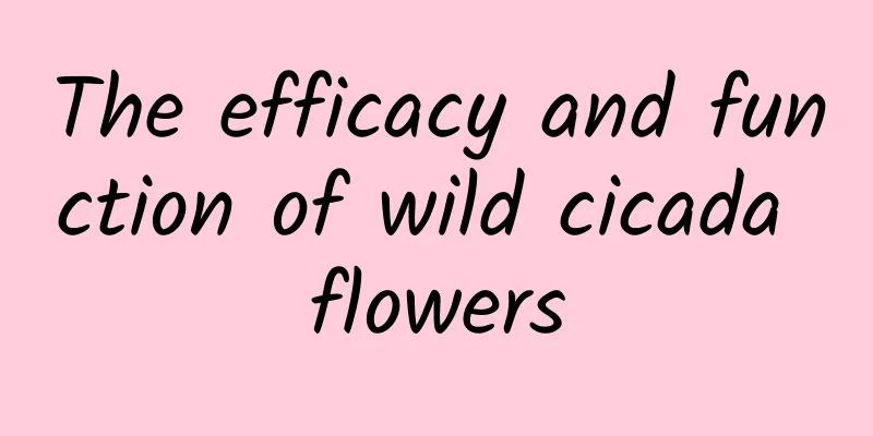 The efficacy and function of wild cicada flowers