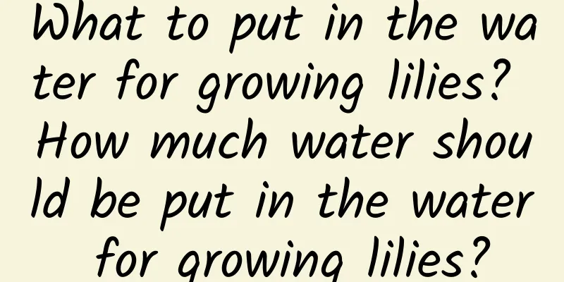 What to put in the water for growing lilies? How much water should be put in the water for growing lilies?