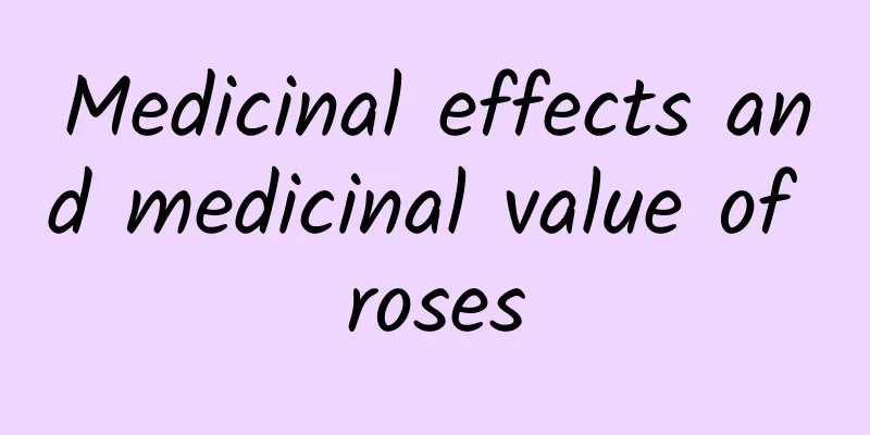 Medicinal effects and medicinal value of roses