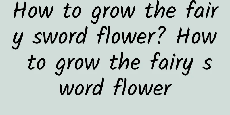 How to grow the fairy sword flower? How to grow the fairy sword flower