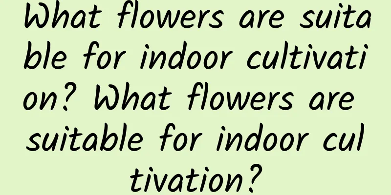 What flowers are suitable for indoor cultivation? What flowers are suitable for indoor cultivation?