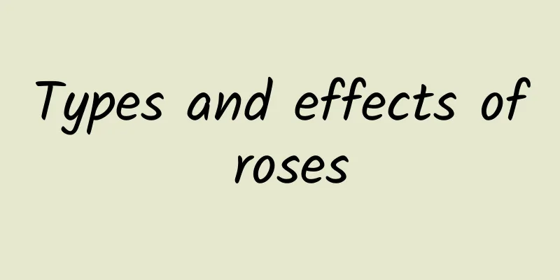 Types and effects of roses