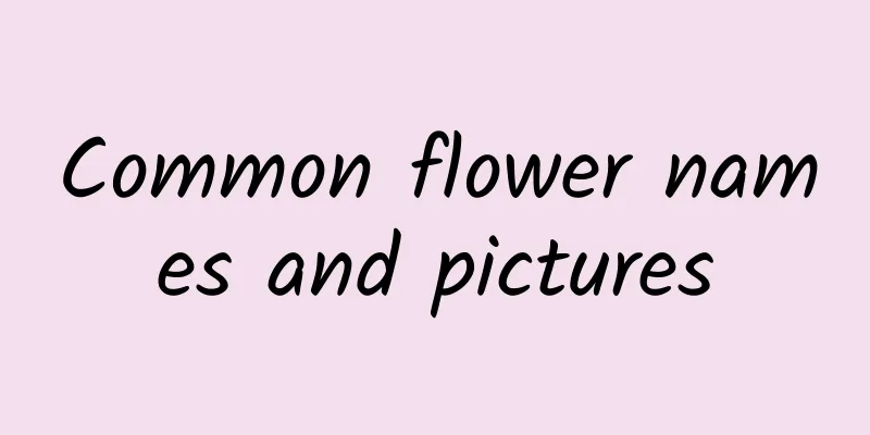 Common flower names and pictures