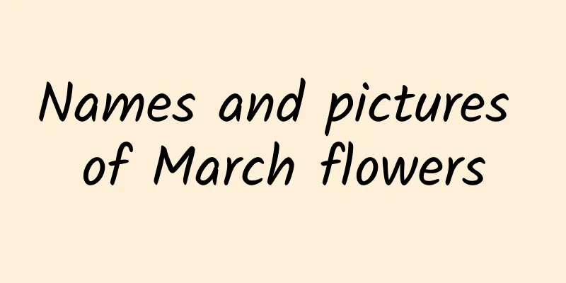 Names and pictures of March flowers