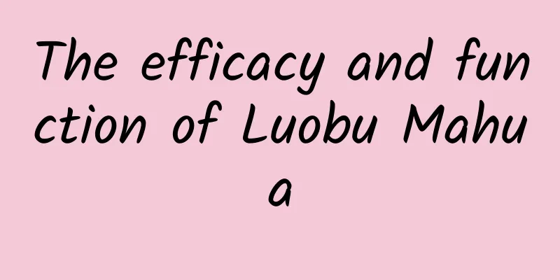 The efficacy and function of Luobu Mahua