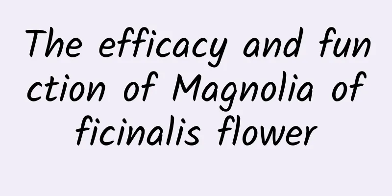 The efficacy and function of Magnolia officinalis flower