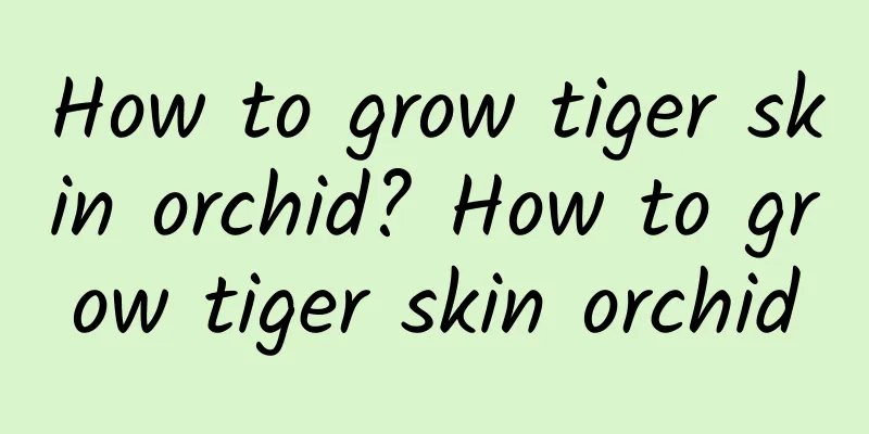 How to grow tiger skin orchid? How to grow tiger skin orchid