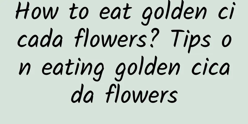 How to eat golden cicada flowers? Tips on eating golden cicada flowers