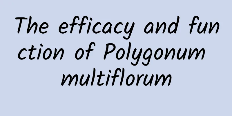 The efficacy and function of Polygonum multiflorum