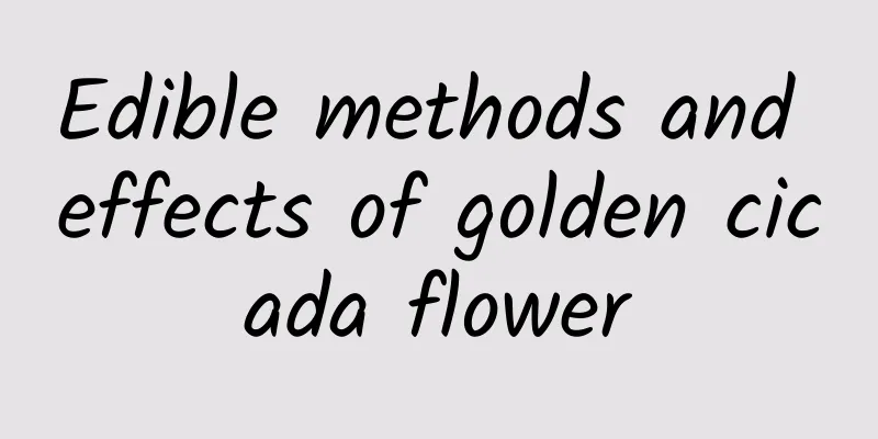 Edible methods and effects of golden cicada flower