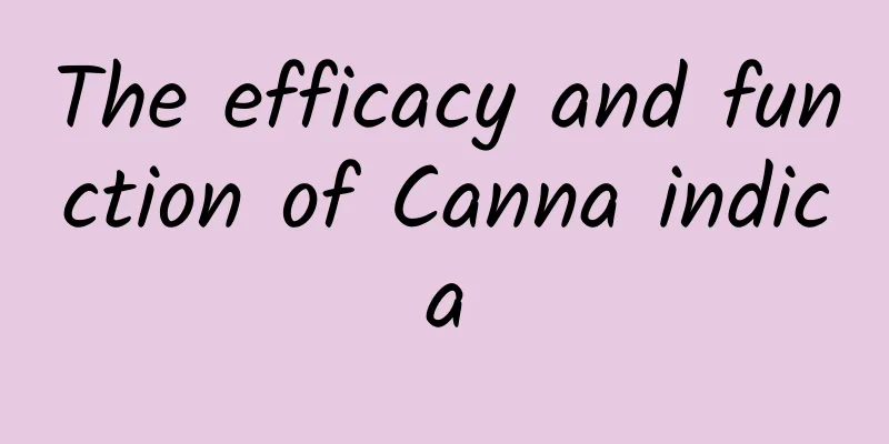 The efficacy and function of Canna indica