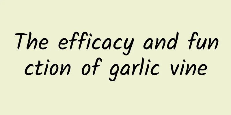 The efficacy and function of garlic vine