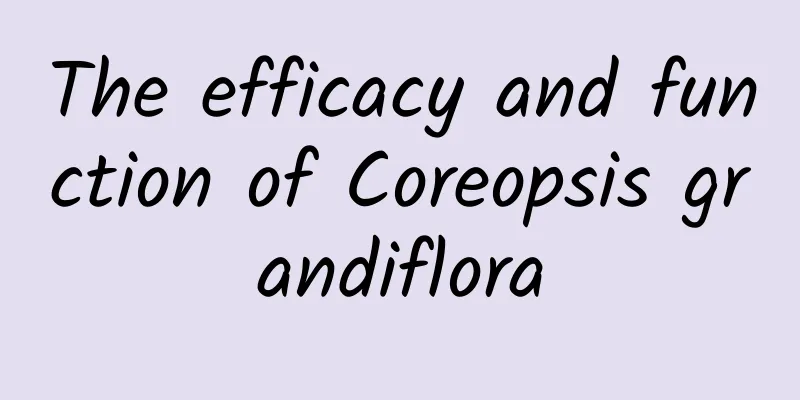 The efficacy and function of Coreopsis grandiflora