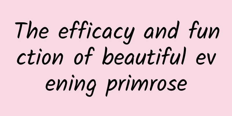 The efficacy and function of beautiful evening primrose