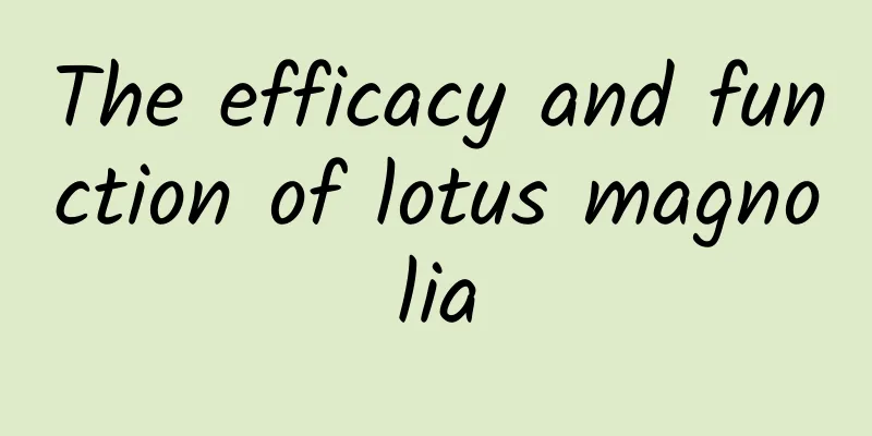 The efficacy and function of lotus magnolia