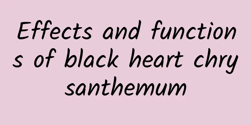 Effects and functions of black heart chrysanthemum