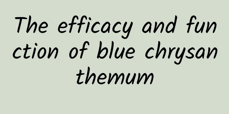 The efficacy and function of blue chrysanthemum