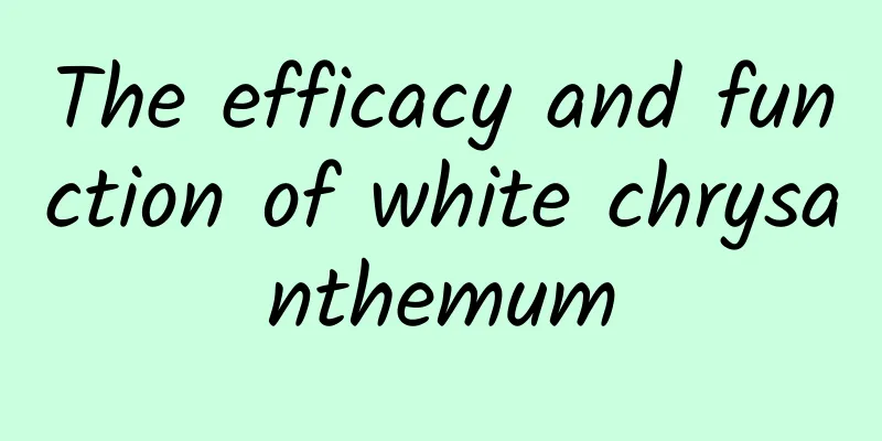 The efficacy and function of white chrysanthemum