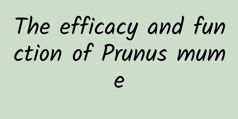 The efficacy and function of Prunus mume