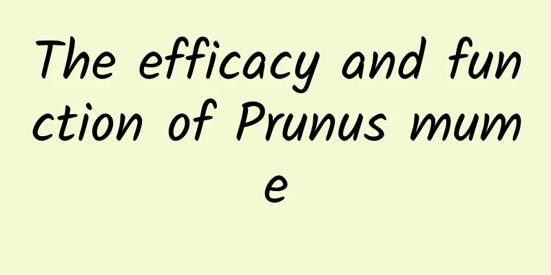 The efficacy and function of Prunus mume