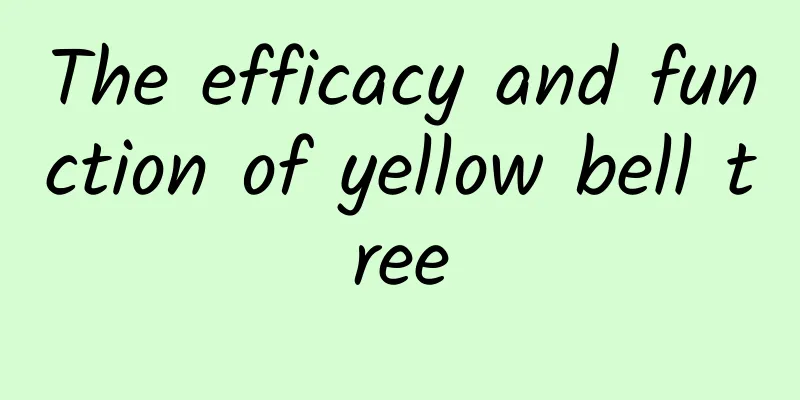 The efficacy and function of yellow bell tree