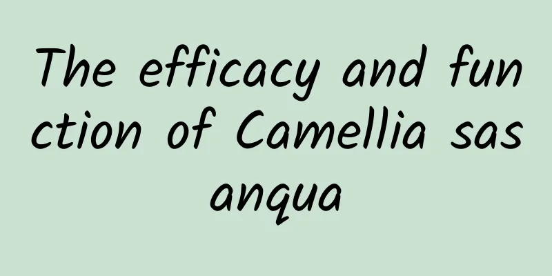 The efficacy and function of Camellia sasanqua