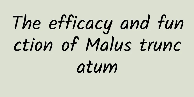 The efficacy and function of Malus truncatum