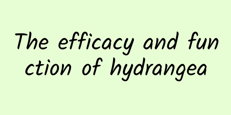 The efficacy and function of hydrangea