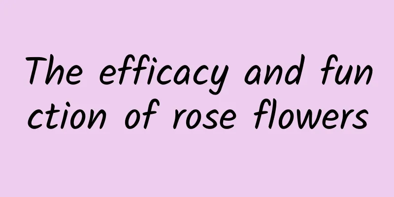 The efficacy and function of rose flowers