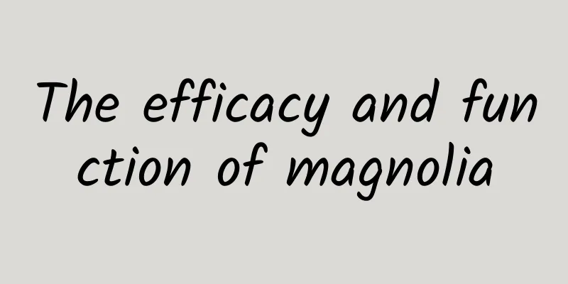 The efficacy and function of magnolia