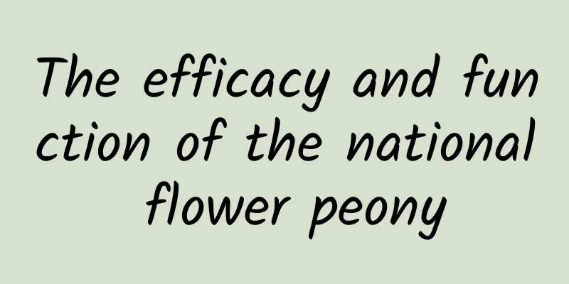 The efficacy and function of the national flower peony