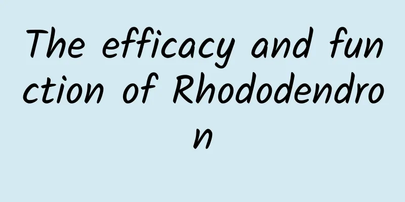 The efficacy and function of Rhododendron