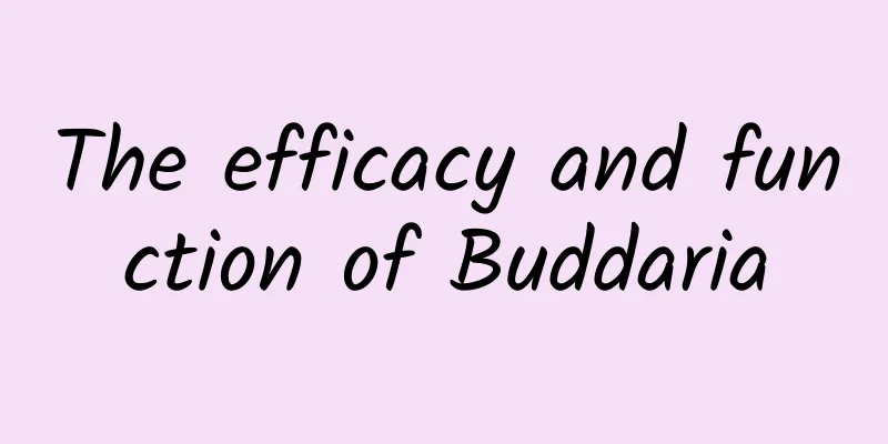 The efficacy and function of Buddaria