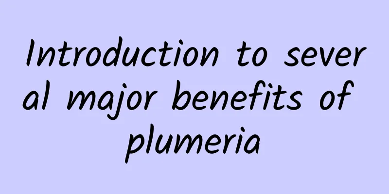 Introduction to several major benefits of plumeria