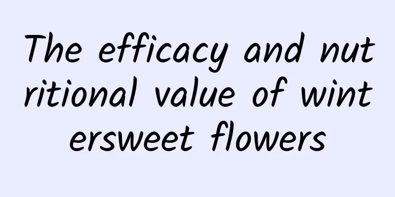 The efficacy and nutritional value of wintersweet flowers