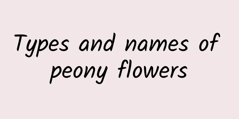 Types and names of peony flowers