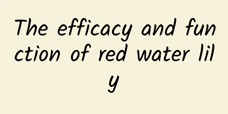 The efficacy and function of red water lily