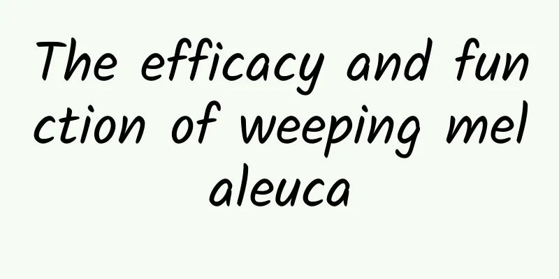 The efficacy and function of weeping melaleuca