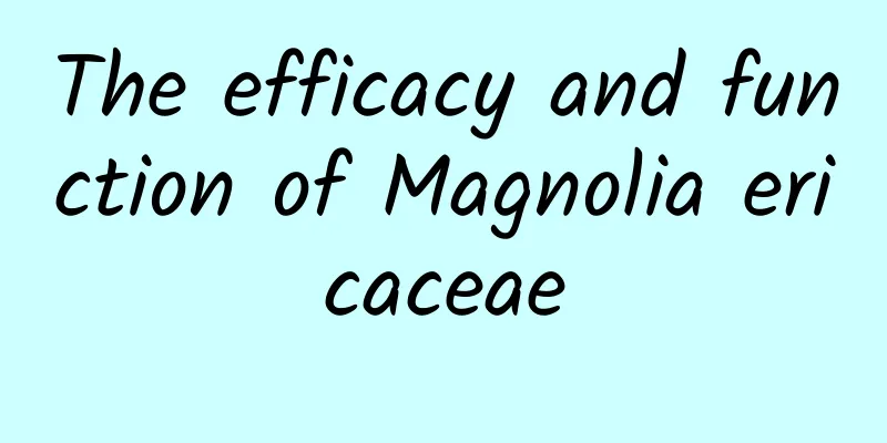 The efficacy and function of Magnolia ericaceae