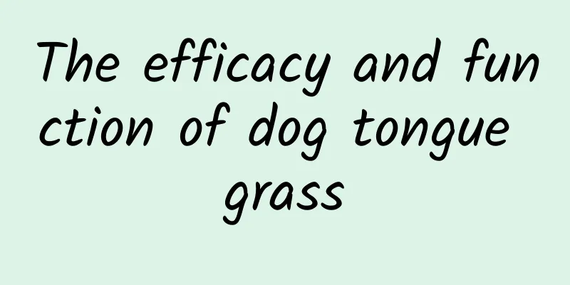 The efficacy and function of dog tongue grass