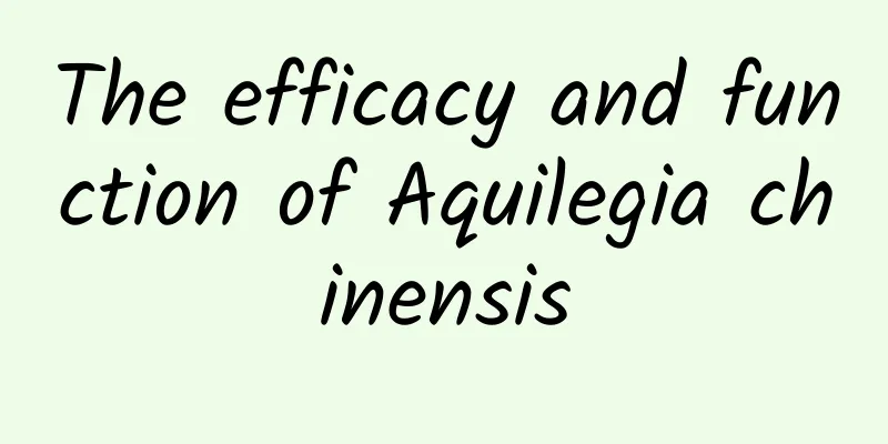 The efficacy and function of Aquilegia chinensis