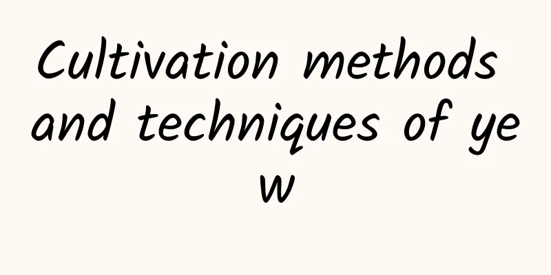 Cultivation methods and techniques of yew