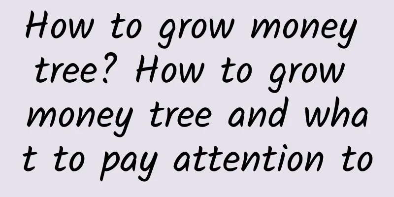 How to grow money tree? How to grow money tree and what to pay attention to