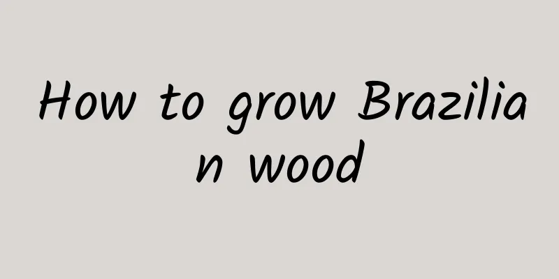 How to grow Brazilian wood