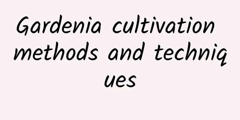 Gardenia cultivation methods and techniques